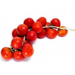 Tomate Ramillete Ristra